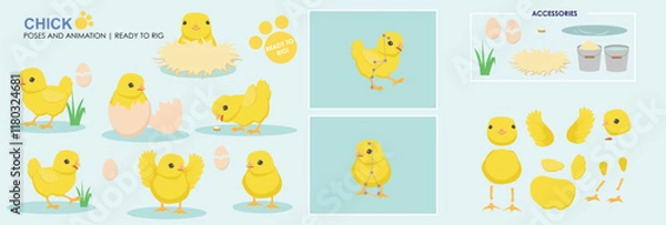 Obraz Cute Chick, chicken, hatching from egg, character, vector set collection of poses ready to animate. 