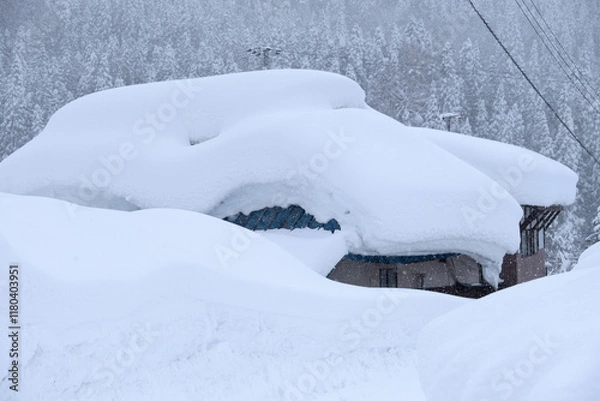 Obraz 豪雪の民家
