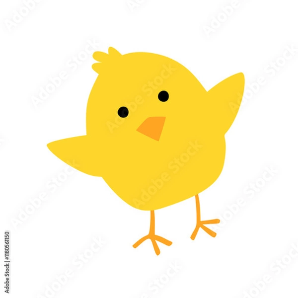 Obraz Yellow chick isolated on white
