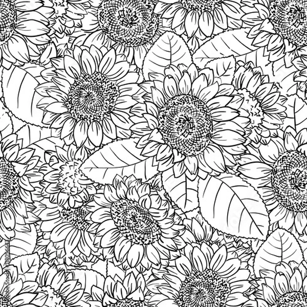 Obraz Vector doodle black and white seamless pattern with sunflowers