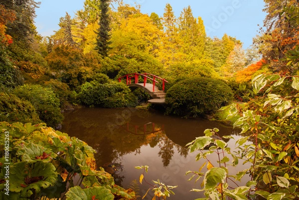 Obraz Vibrant fall colors at Kubota Garden in Seattle, WA

