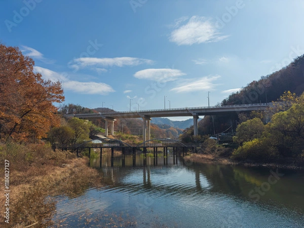 Obraz bridge over the river