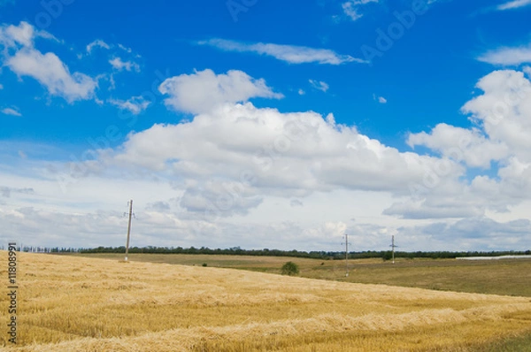 Fototapeta rural view