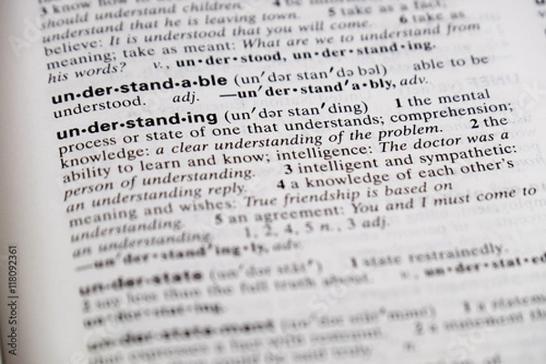 Fototapeta Understanding defined in a dictionary.