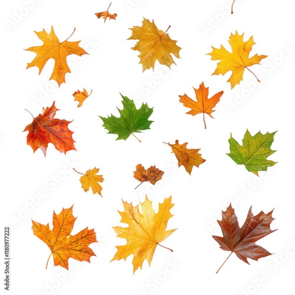 Fototapeta collection of various leaves in different colors. including green. yellow. orange. and red. showcasing the beauty of autumn foliage the leaves are arranged artistically against a white background. hig