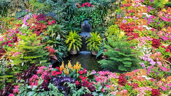 Fototapeta Colorful Flower Display in a Canadian Garden