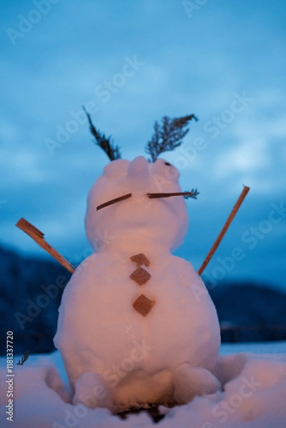 Obraz Schneeman
