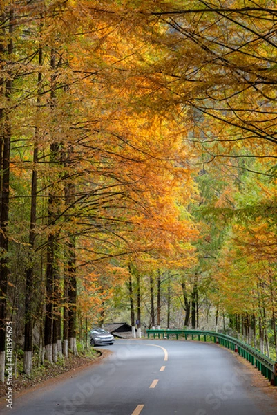 Fototapeta autumn in the liuba qinling mountains, china