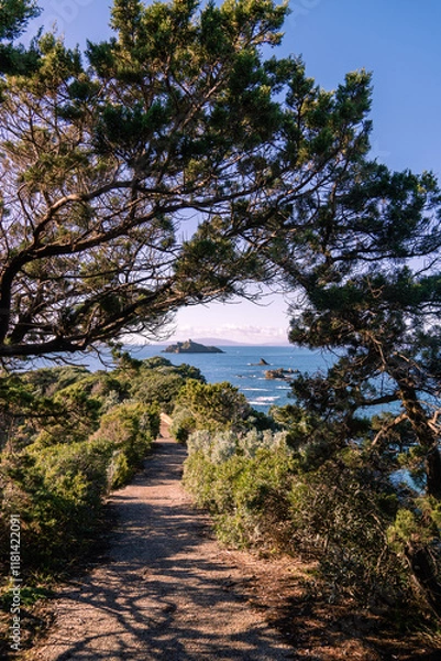 Fototapeta Italy Tuscany Maremma Punta Ala, panoramic view of the island of the Sparviero and the rocks of the Porchetti
