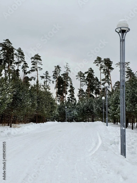 Obraz path in the winter forest