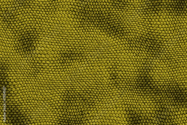Fototapeta reptile skin backgound
