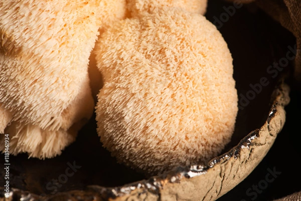 Obraz Hericium erinaceus mushroom monkey head mushroom, bearded tooth fungus, bearded hedgehog mushroom, pom pom, lion`s mane mushroom. Far Eastern medicine use this mushroom