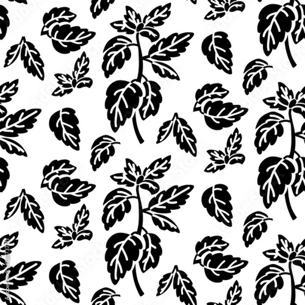 Fototapeta A pattern with basil sprigs. Culinary seasonings and spices, hand-drawn. repeating elements are branches and leaves. Black silhouette on a white. Seamless texture. Seasonings, spices, food additives