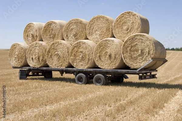 Obraz strohballen auf dem feld