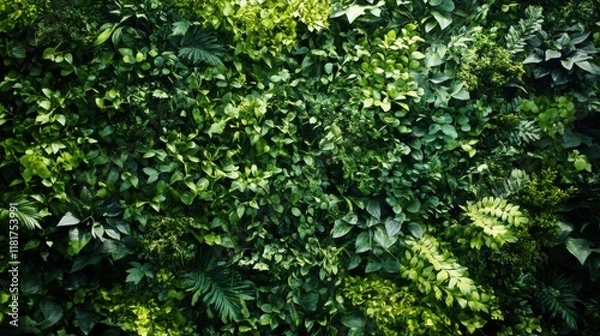 Fototapeta Lush green foliage with a variety of vibrant leaves forming a dense, natural wall, creating a fresh and calming atmosphere