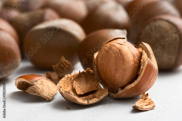 Obraz hazelnut