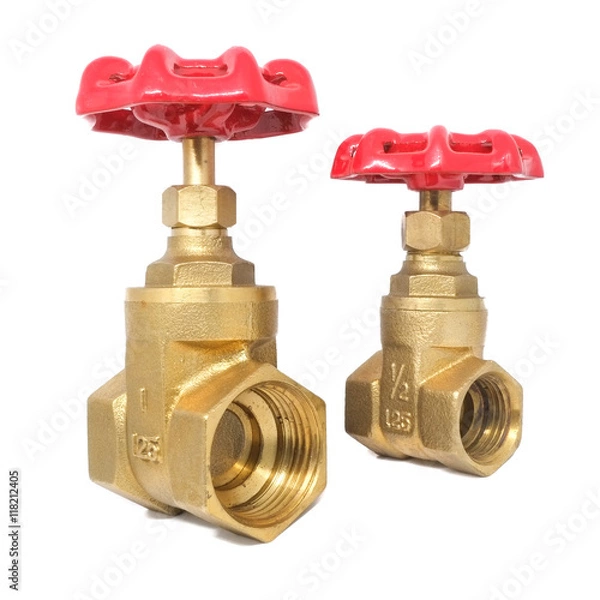 Obraz Bronze gate valve