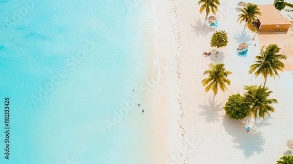 Fototapeta Tranquil Beach Scene with Palm Trees and Clear Water