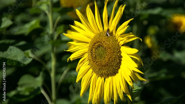 Obraz Bad Staffelstein