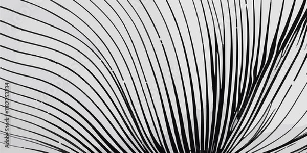 Fototapeta Beautiful black and white background design with flowing black and white lines. A wall background with a vibrant black and white color of the world, lovingly made of a group of lines. black and white