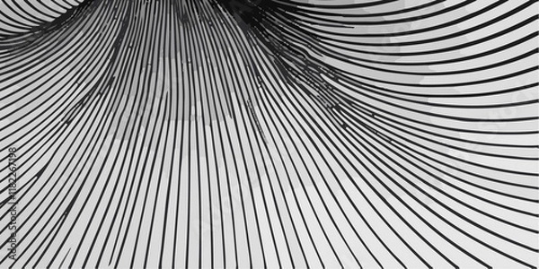 Fototapeta Beautiful black and white background design with flowing black and white lines. A wall background with a vibrant black and white color of the world, lovingly made of a group of lines. black and white
