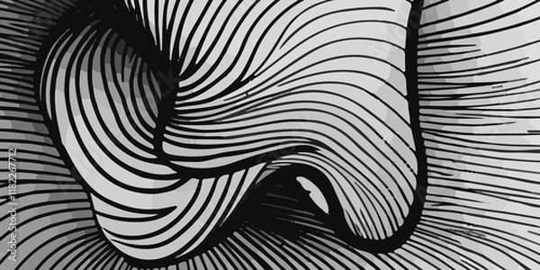 Fototapeta Beautiful black and white background design with flowing black and white lines. A wall background with a vibrant black and white color of the world, lovingly made of a group of lines. black and white