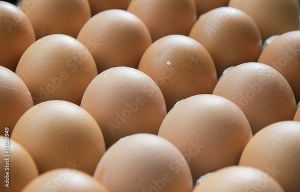 Fototapeta Eggs in cardboard, full frame .