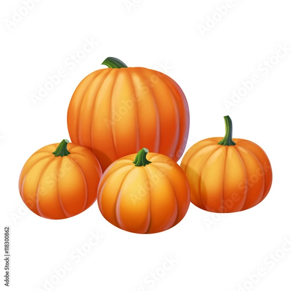 Fototapeta pumpkin isolated on white background