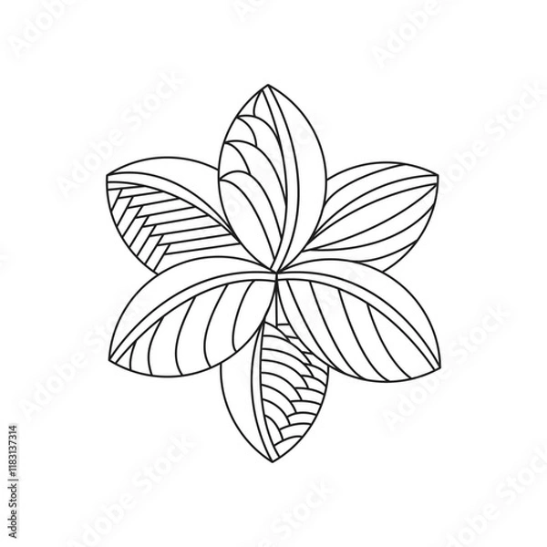 Fototapeta Decorative mandala with floral patterns and leaves on a white isolated