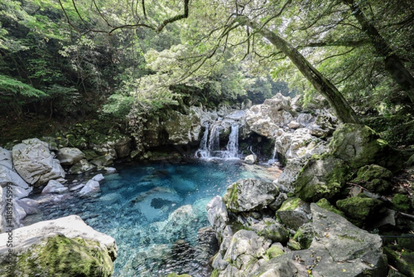 Obraz 숲과 암석에 고여있는 물과 폭포수 제주 서귀포시 상효동 원앙폭포