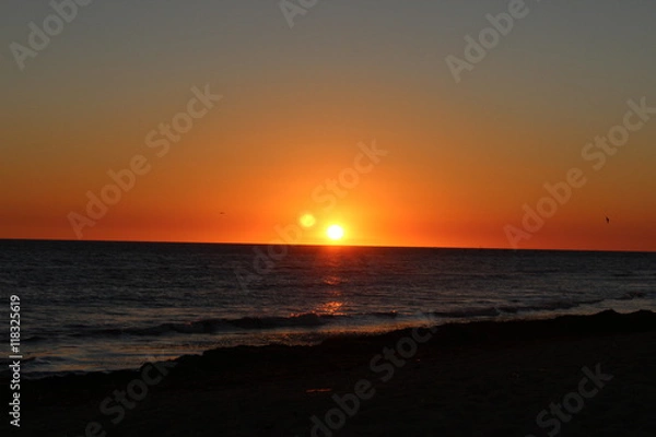 Obraz Coucher de soleil et oiseaux