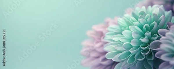 Fototapeta Layer abstract background idea. Soft pastel petals create a serene backdrop with beautiful floral textures and patterns.