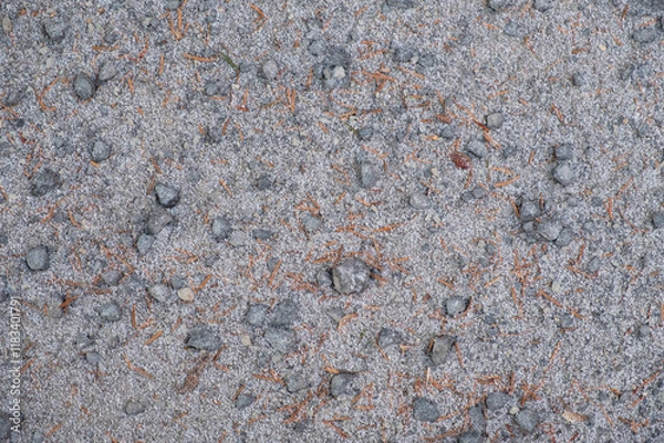 Fototapeta 朝の霜が被る自然な地面