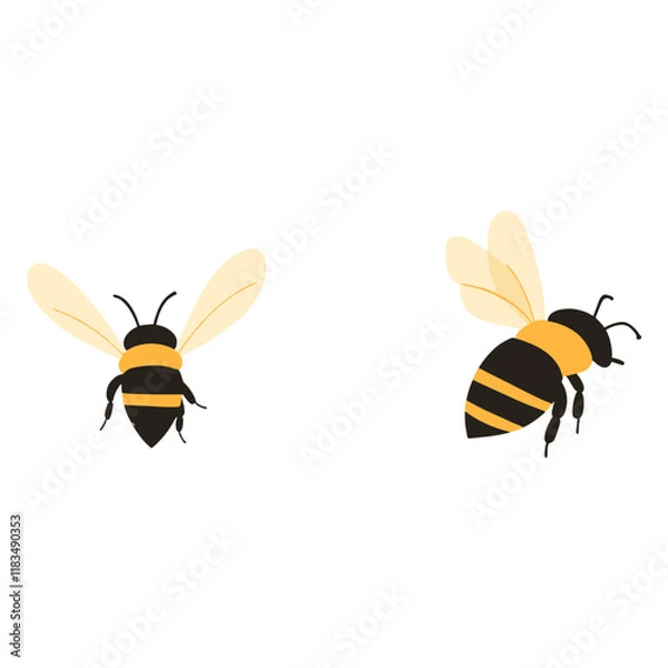 Obraz Bee illustration background insect vector