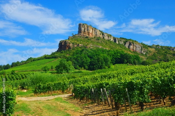 Fototapeta la roche de solutré
