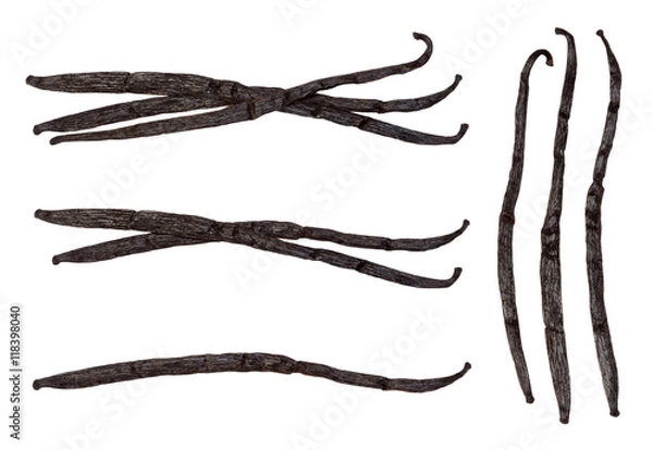 Fototapeta Strąki wanilii