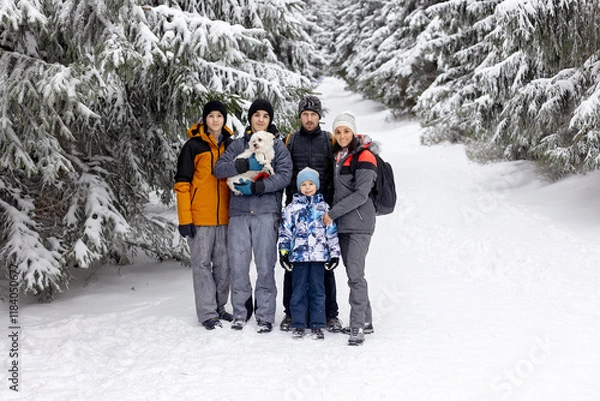 Obraz Sweet happy children, brothers, playing in deep snow in forest, frosted trees and beautiful landscape