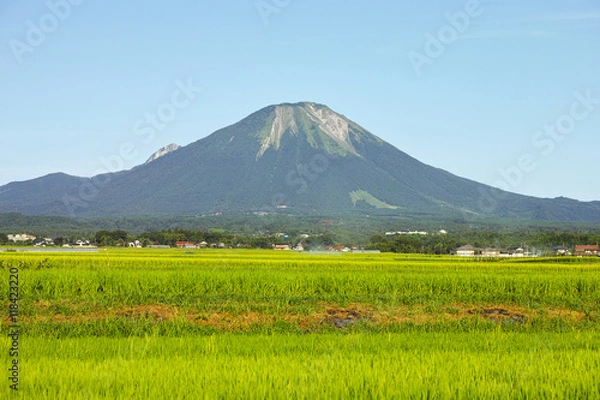 Obraz 夏の大山　西麓