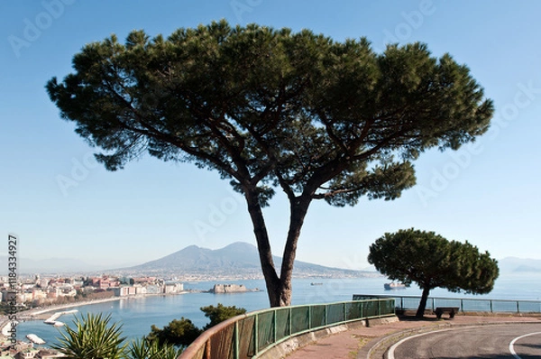 Obraz Napoli con i pini
