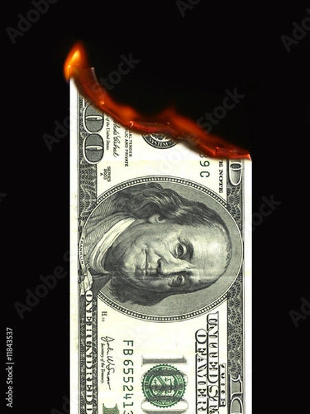 Obraz Burning money (dollar)