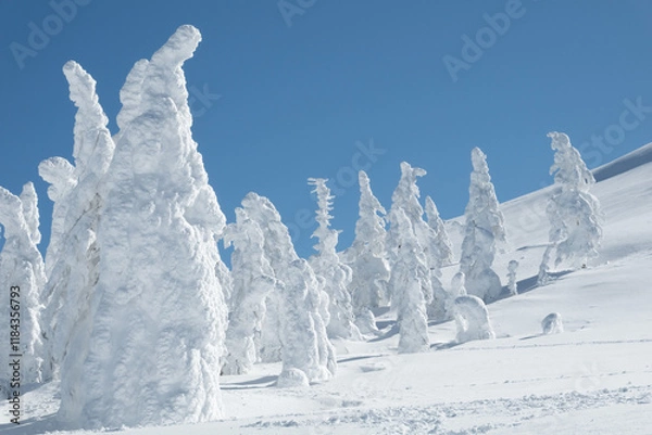 Fototapeta 蔵王のスノーモンスター