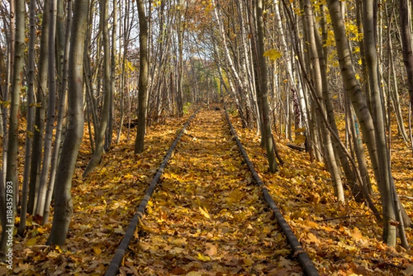 Fototapeta Alte Stammbahn Düppel Zehlendorf Steglitz