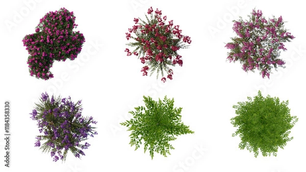 Obraz tree top view plant landscape architecture nature garden aerial render. trees branch isolate collection illustration environment green botany urban bush park. tree architecture conifer decorative.