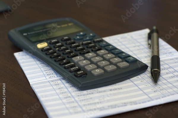 Obraz balancing check book