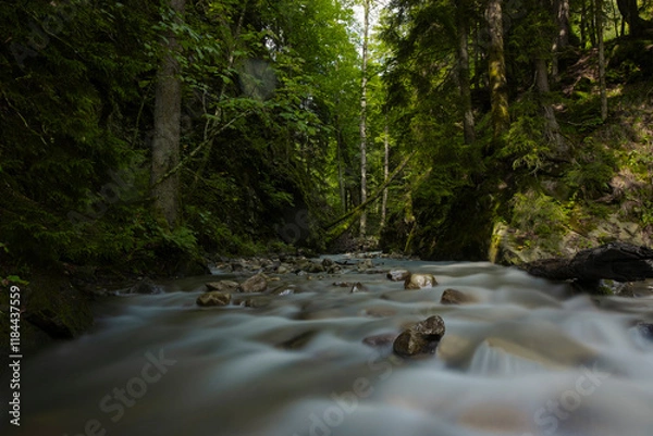 Fototapeta stream in the forest