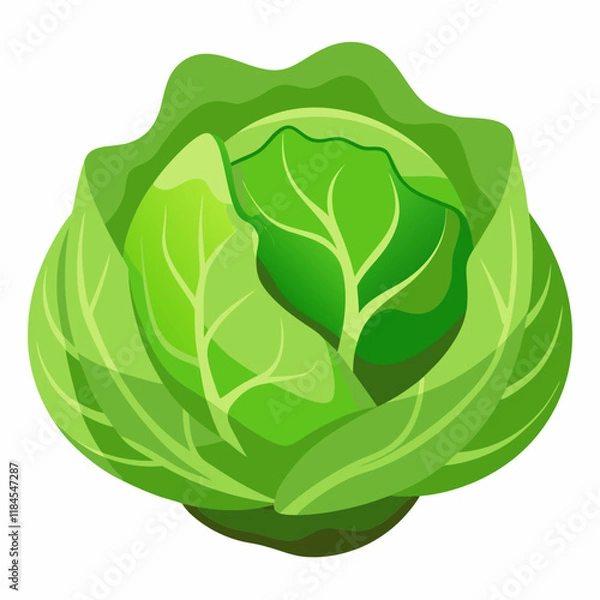 Obraz cabbage isolated on white background