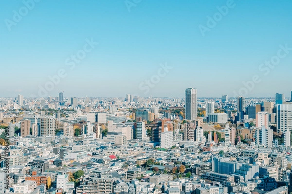 Obraz 冬の東京の街並み