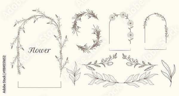 Obraz Floral frame and decoration. Single line. Minimalistic herbal botanical set of border. Collection of trendy hand drawn flowers. Single clip art. Silhouette. Elements. Cut out. Circles textbox. Boho.