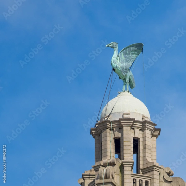 Obraz The Liver Bird on the Liver building, Liverpool, England