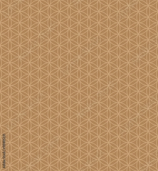 Obraz SImple elegant  pattern with circles